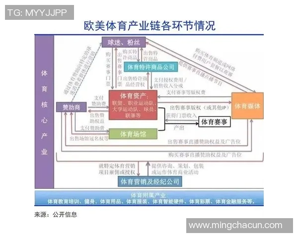 体育产业链深度解析