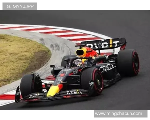 F1赛车手赛前准备与比赛策略制定