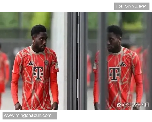 五年内足球转会市场数据全方位提升分析趋势与变化